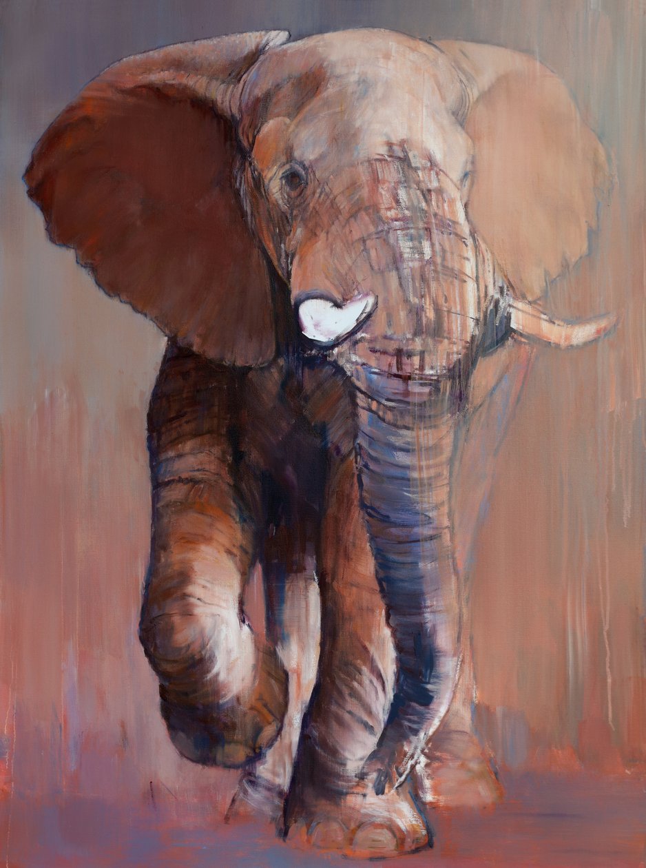 Byk Loisaba, 2018 autorstwa Mark Adlington