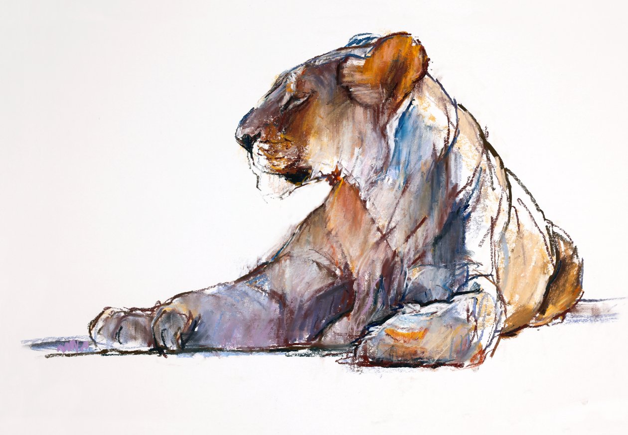 Rano, 2019 autorstwa Mark Adlington