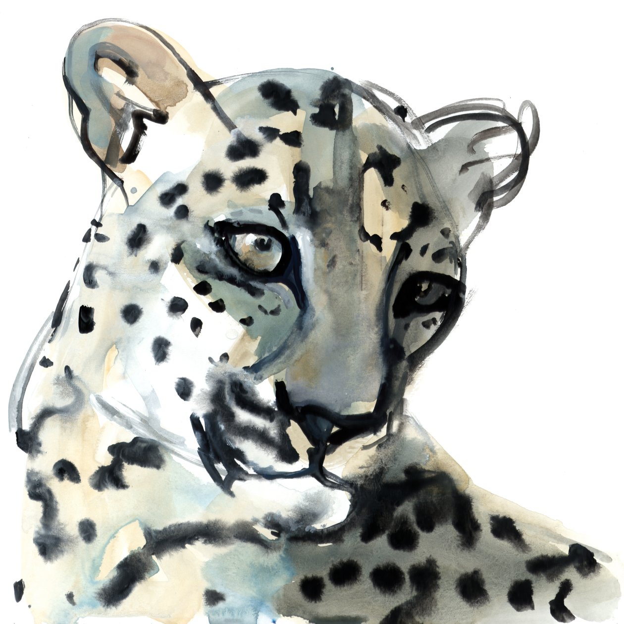 perski, 2015, (akwarela na papierze) autorstwa Mark Adlington