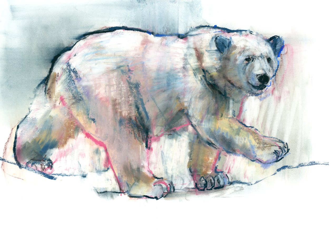Różowy, 2016, (conté i pastel na papierze) autorstwa Mark Adlington