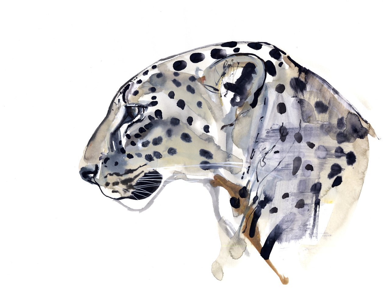 Profil (Lampart Arabski), 2008 autorstwa Mark Adlington