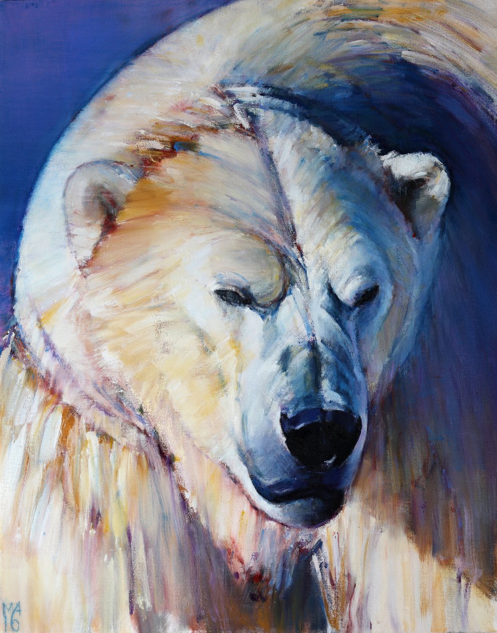 Tęczowy Wojownik, 2016, autorstwa Mark Adlington