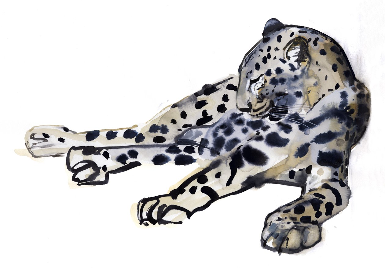 Leopard (leopard arabski), 2008 autorstwa Mark Adlington
