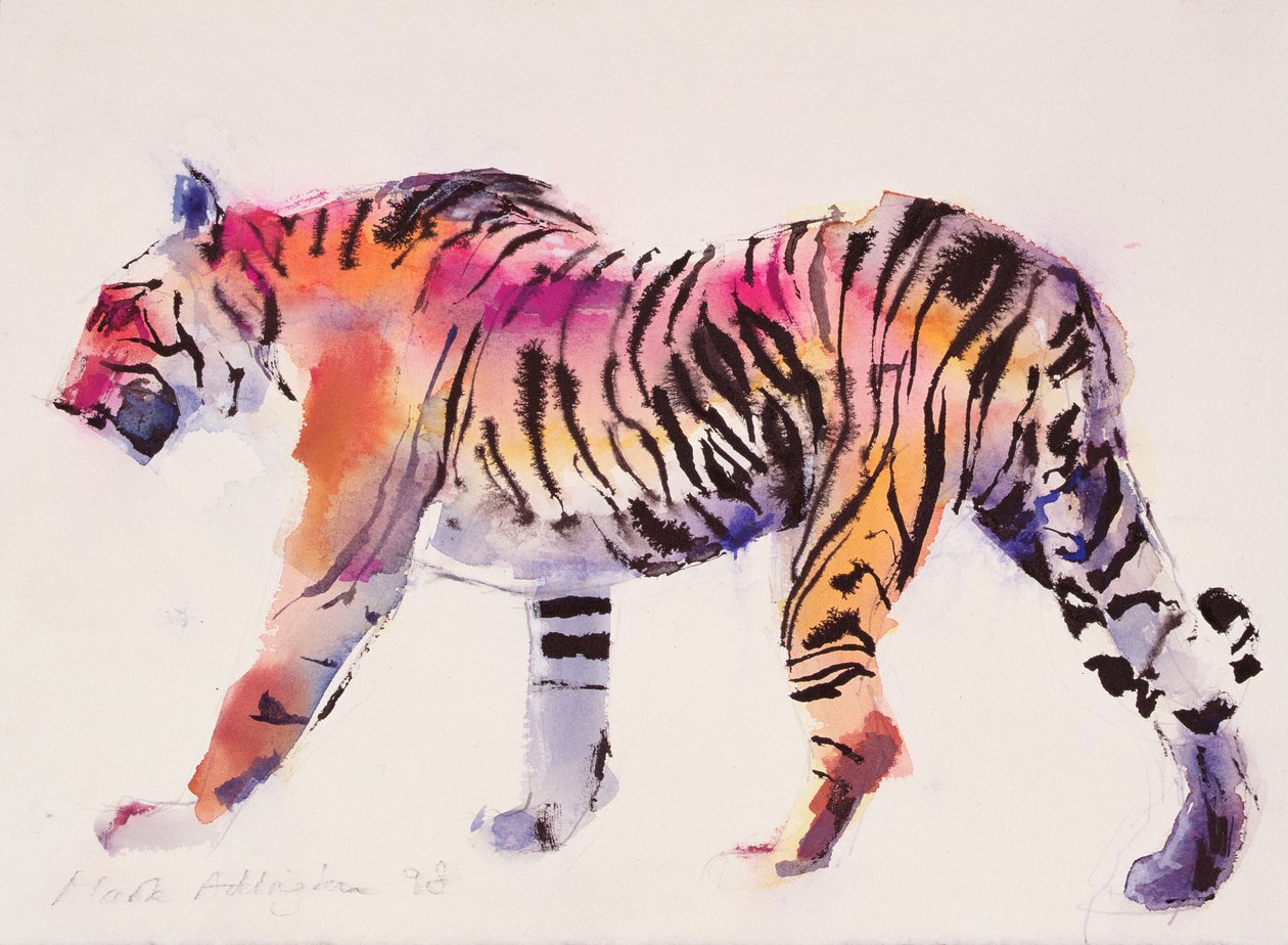 Stripey (atrament i wc na papierze) autorstwa Mark Adlington