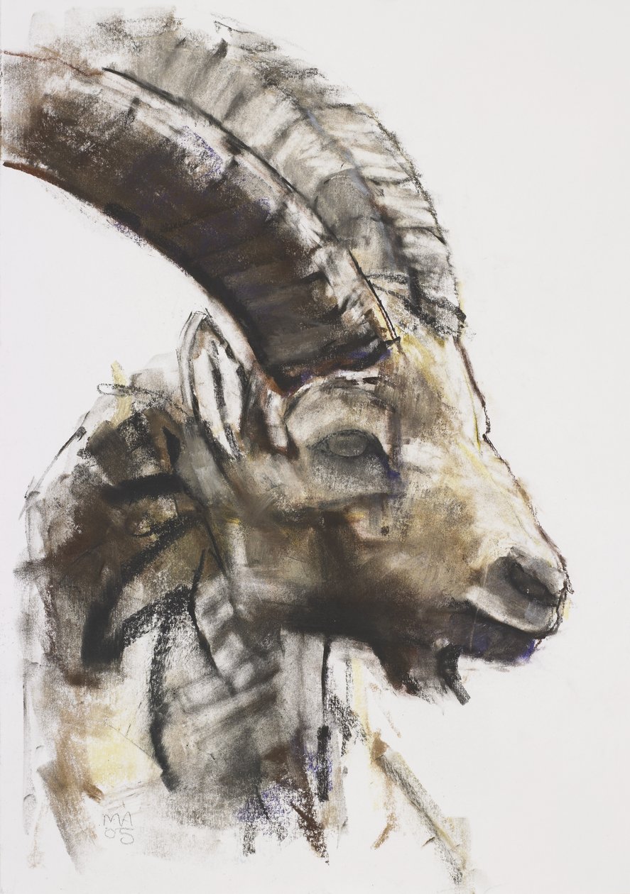 Testa, 2005 (charcoal und conte on paper) autorstwa Mark Adlington