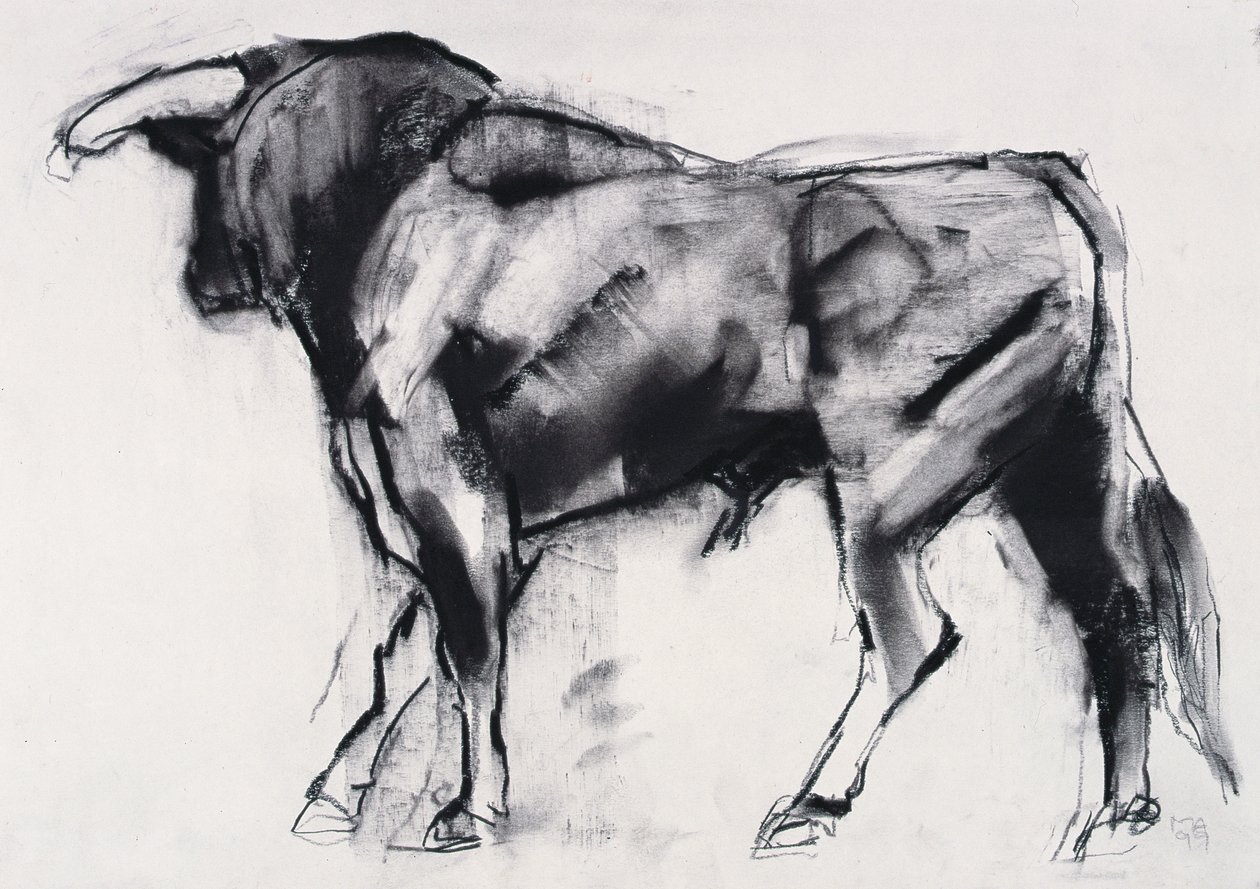 Toro Azul, studium (węgiel na papierze) autorstwa Mark Adlington