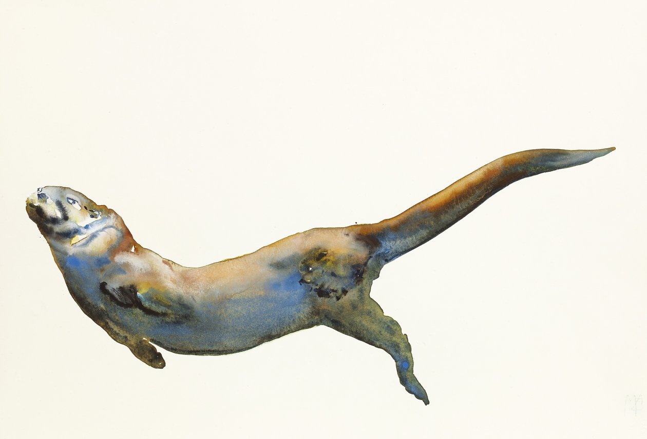 Aksamit, 2014, (akwarela na papierze) autorstwa Mark Adlington