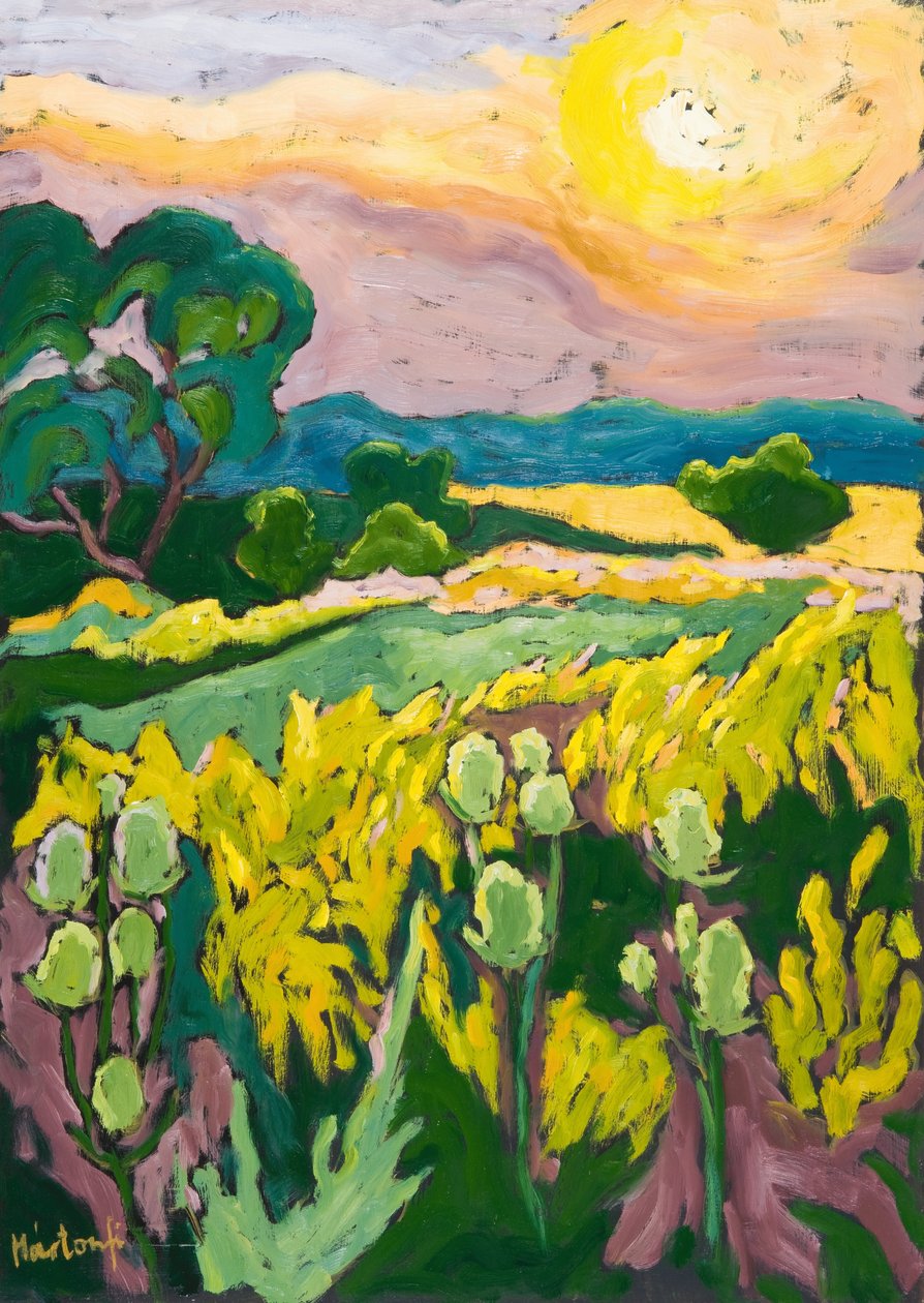 Skyfire, 2007 autorstwa Marta Martonfi Benke