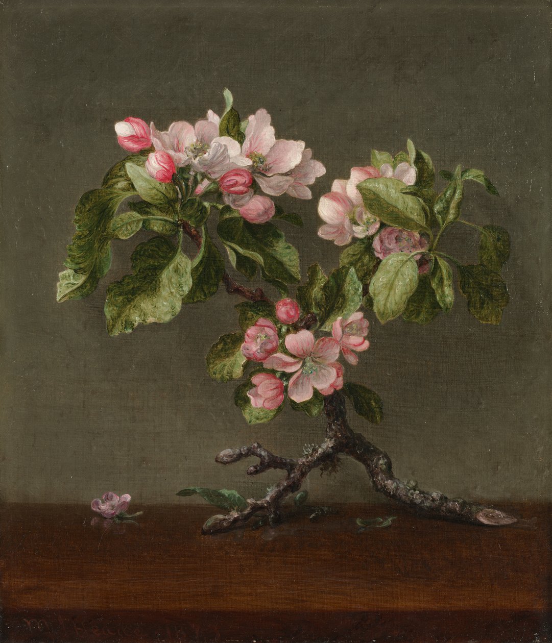 Kwiaty jabłoni, 1873. autorstwa Martin Johnson Heade