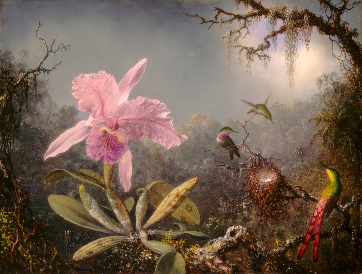 Storczyk Cattleya i trzy kolibry autorstwa Martin Johnson Heade