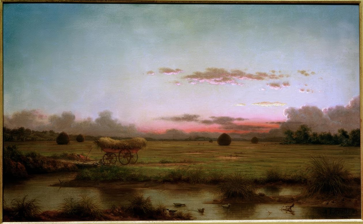 Bagna na Rhode Island autorstwa Martin Johnson Heade