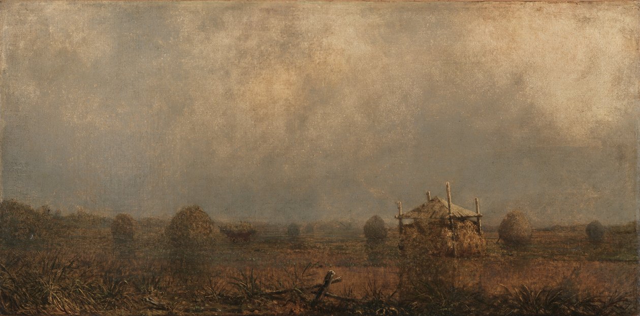 Przypływ na bagnach, 1872. autorstwa Martin Johnson Heade