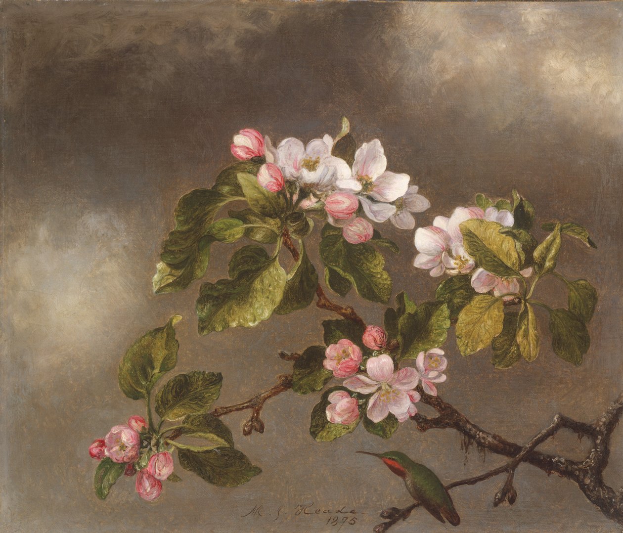 Koliber i kwiaty jabłoni, 1875. autorstwa Martin Johnson Heade