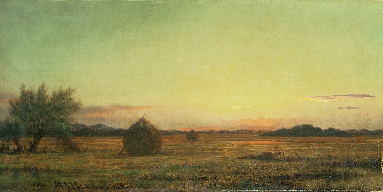 łąki dżersejowe autorstwa Martin Johnson Heade