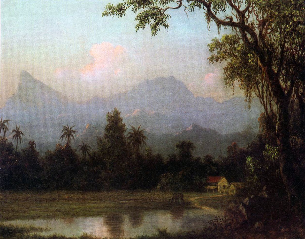 Rio de Janeiro, Brazylia, ok. 1865 r. autorstwa Martin Johnson Heade