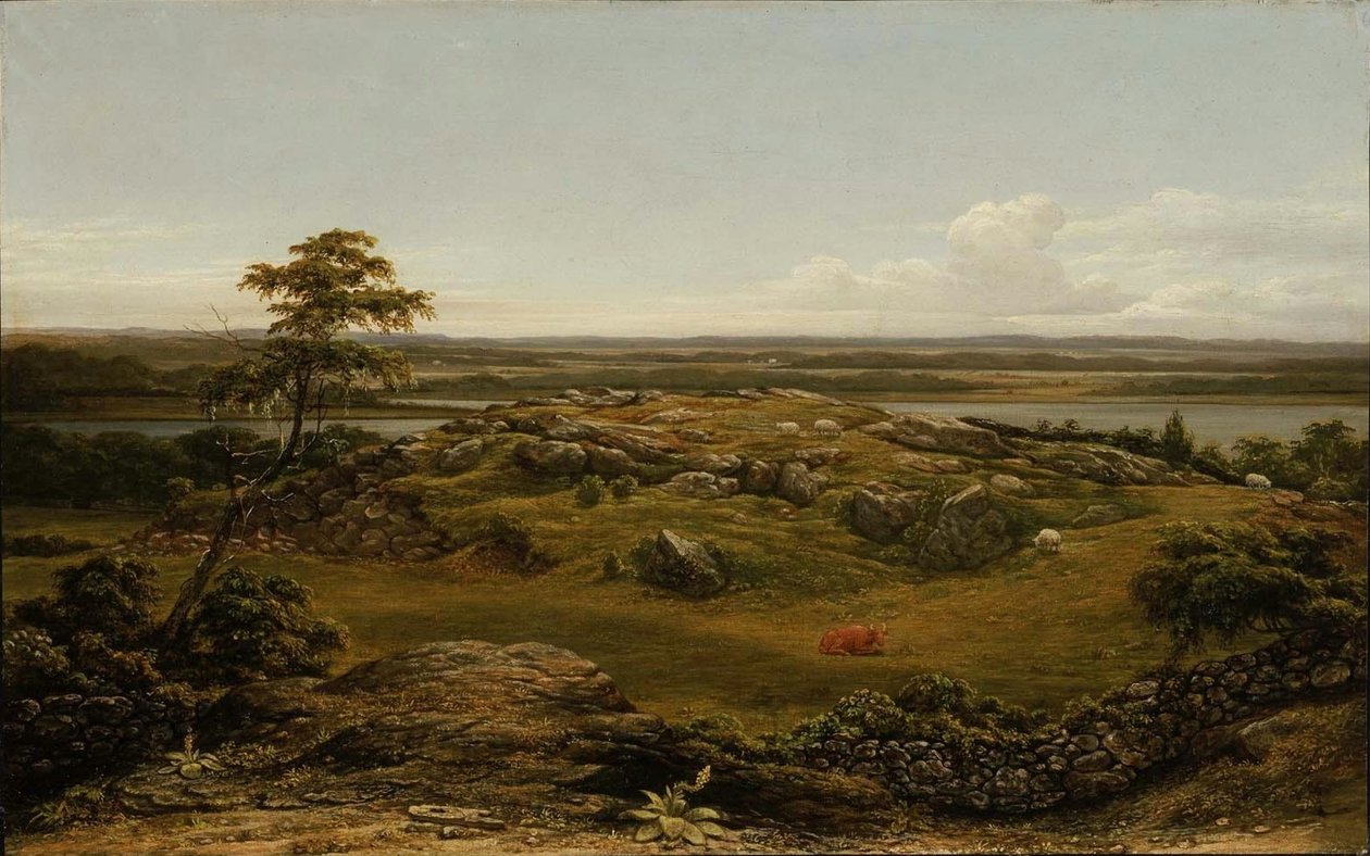 Skały w Nowej Anglii autorstwa Martin Johnson Heade