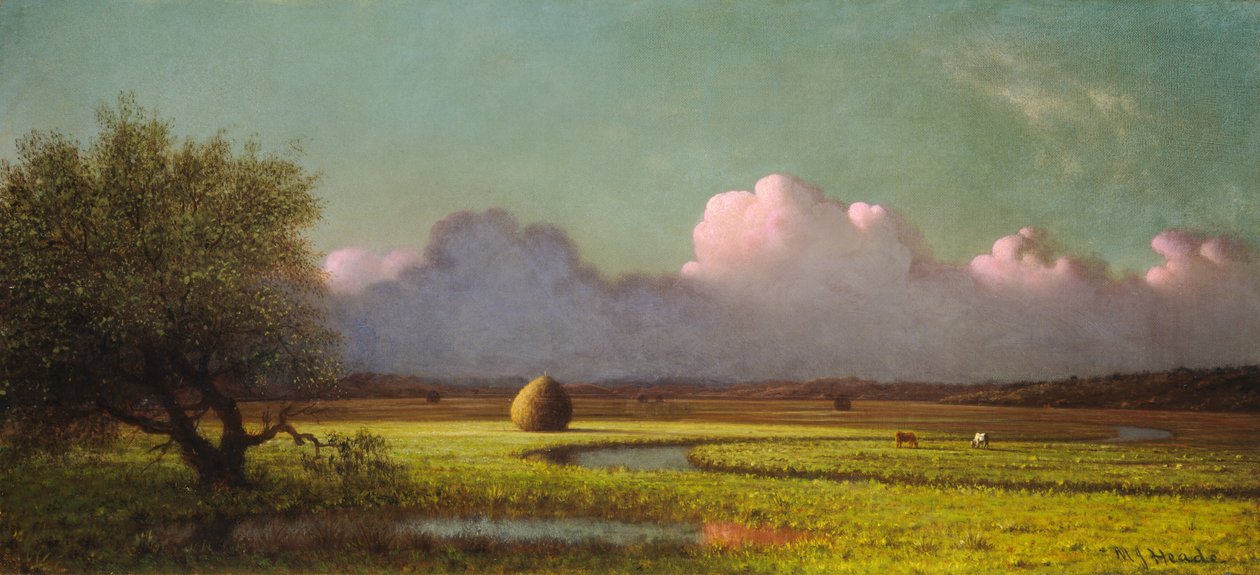 Światło słoneczne i cień: Bagna Newbury autorstwa Martin Johnson Heade