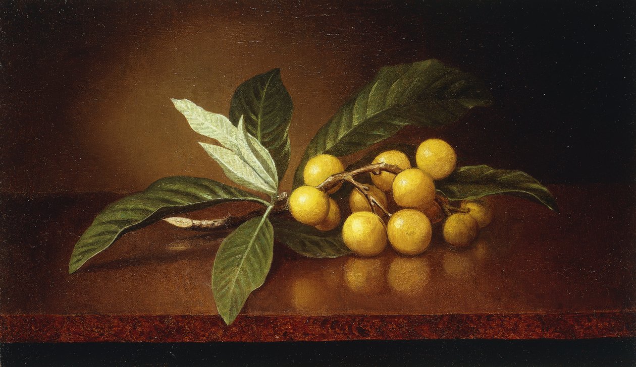 śliwki tropikalne, autorstwa Martin Johnson Heade