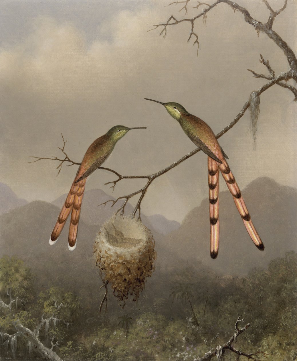 Dwa kolibry ze swoim młodym, ok. 1865 r. autorstwa Martin Johnson Heade