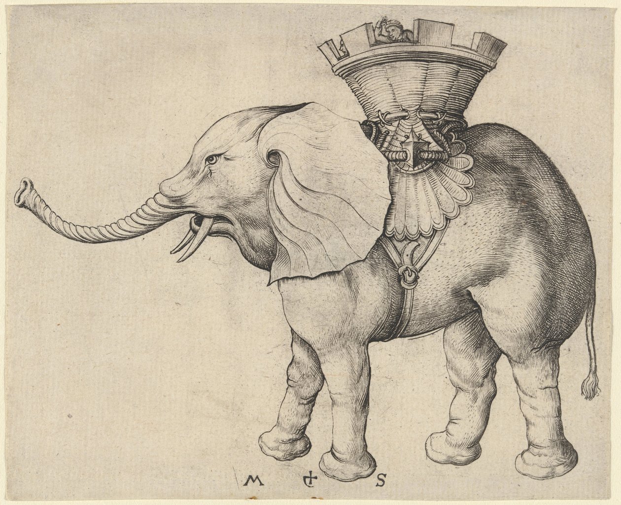 Słoń autorstwa Martin Schongauer