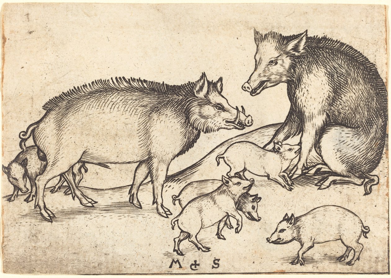 Rodzina świń autorstwa Martin Schongauer