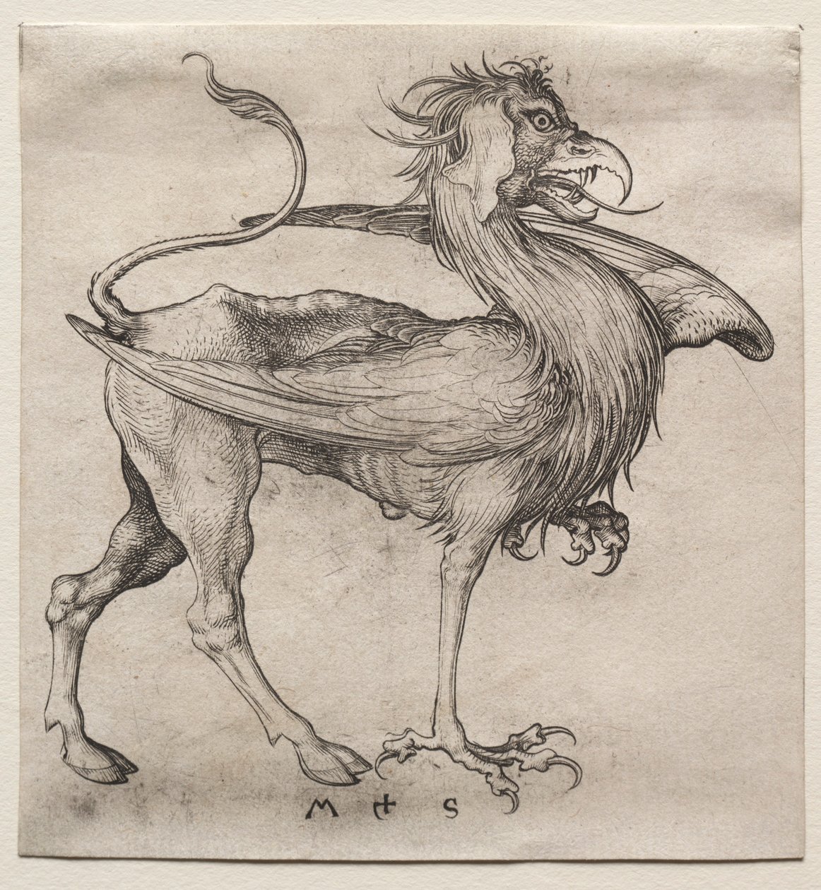 Gryf, 1400. autorstwa Martin Schongauer