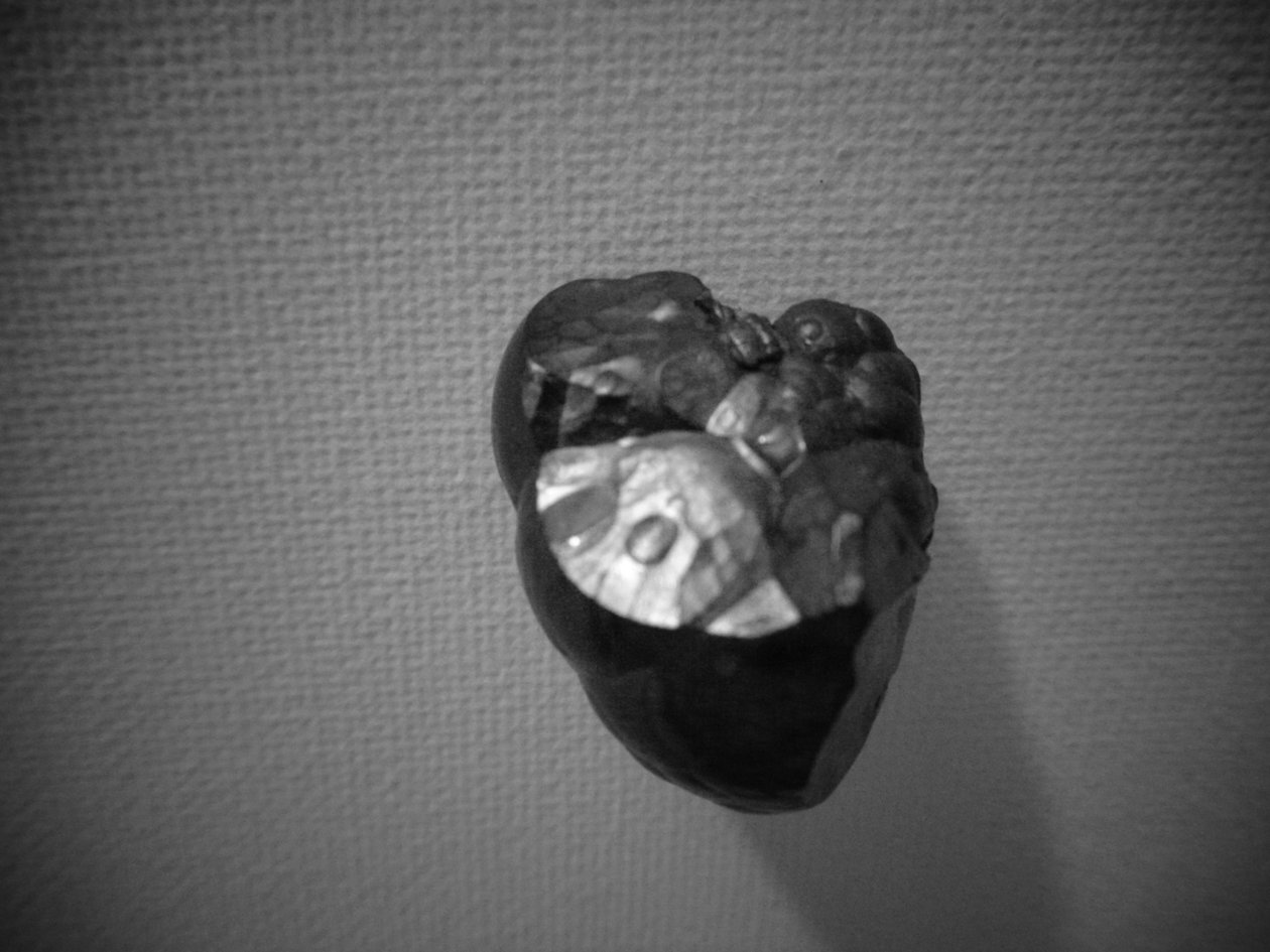metal autorstwa Martina Konitzky