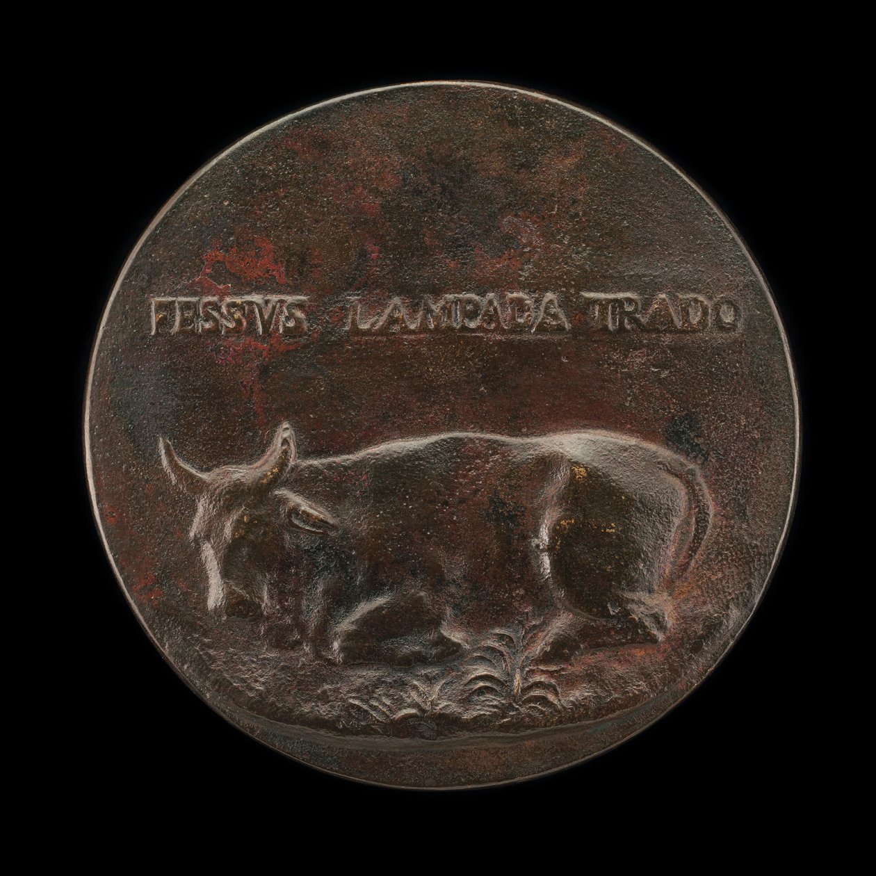 Leżące bydło [rewers]. autorstwa Martino da Bergamo