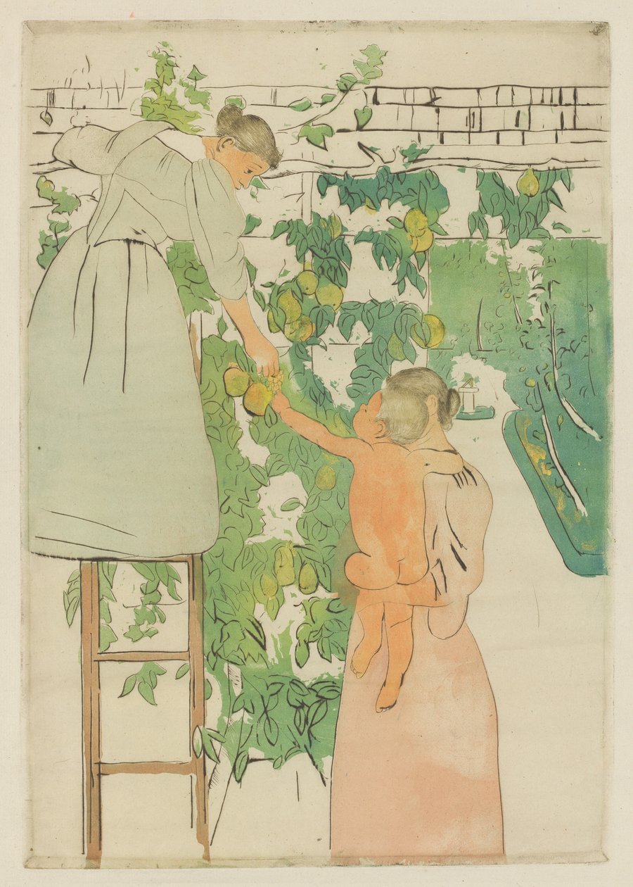 Zbieranie Owoców, ok. godz. 1893. autorstwa Mary Cassatt