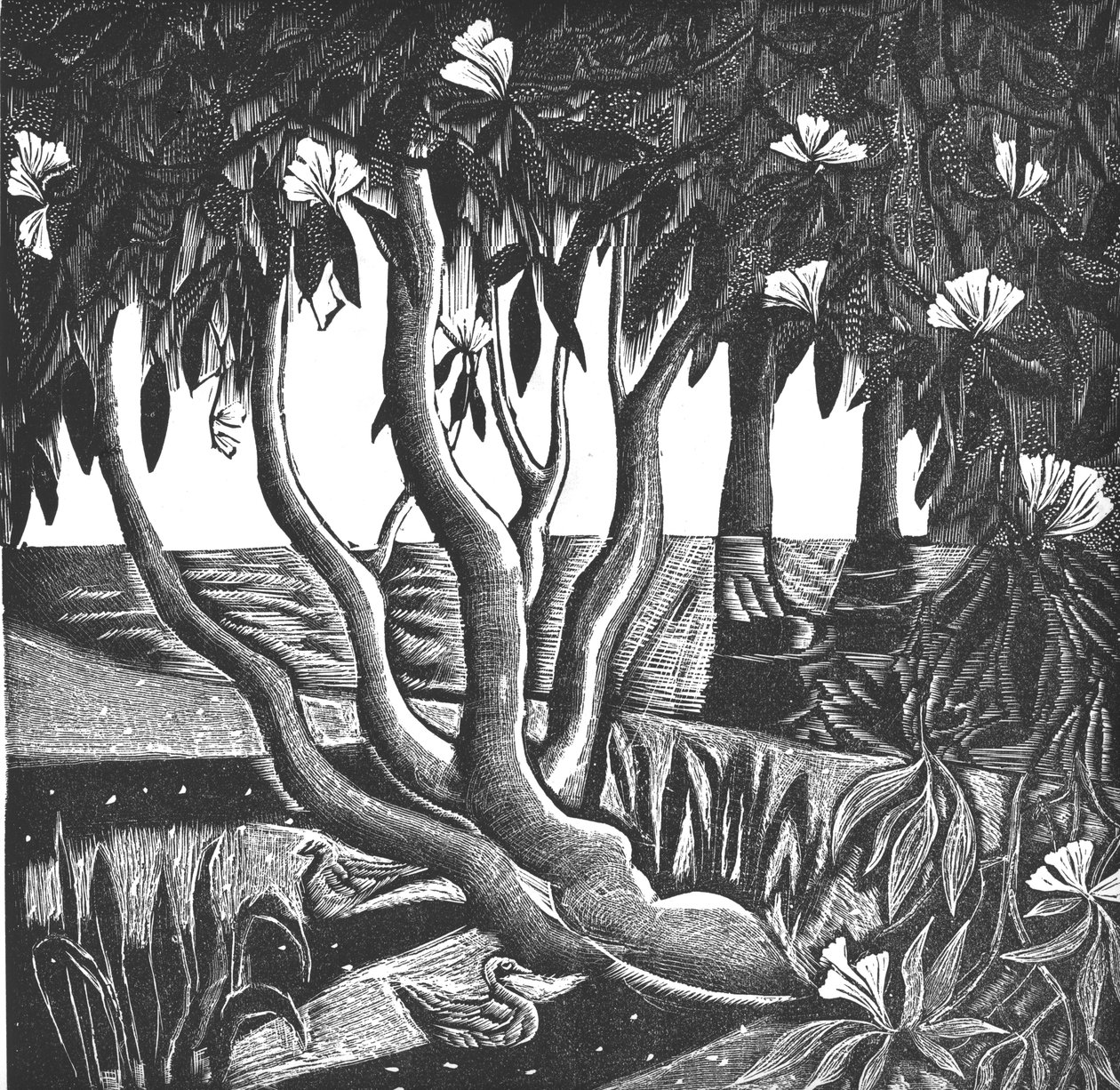 Rododendrony, Holland Park, 2006 (grawerunek winylowy) autorstwa Mary Kuper