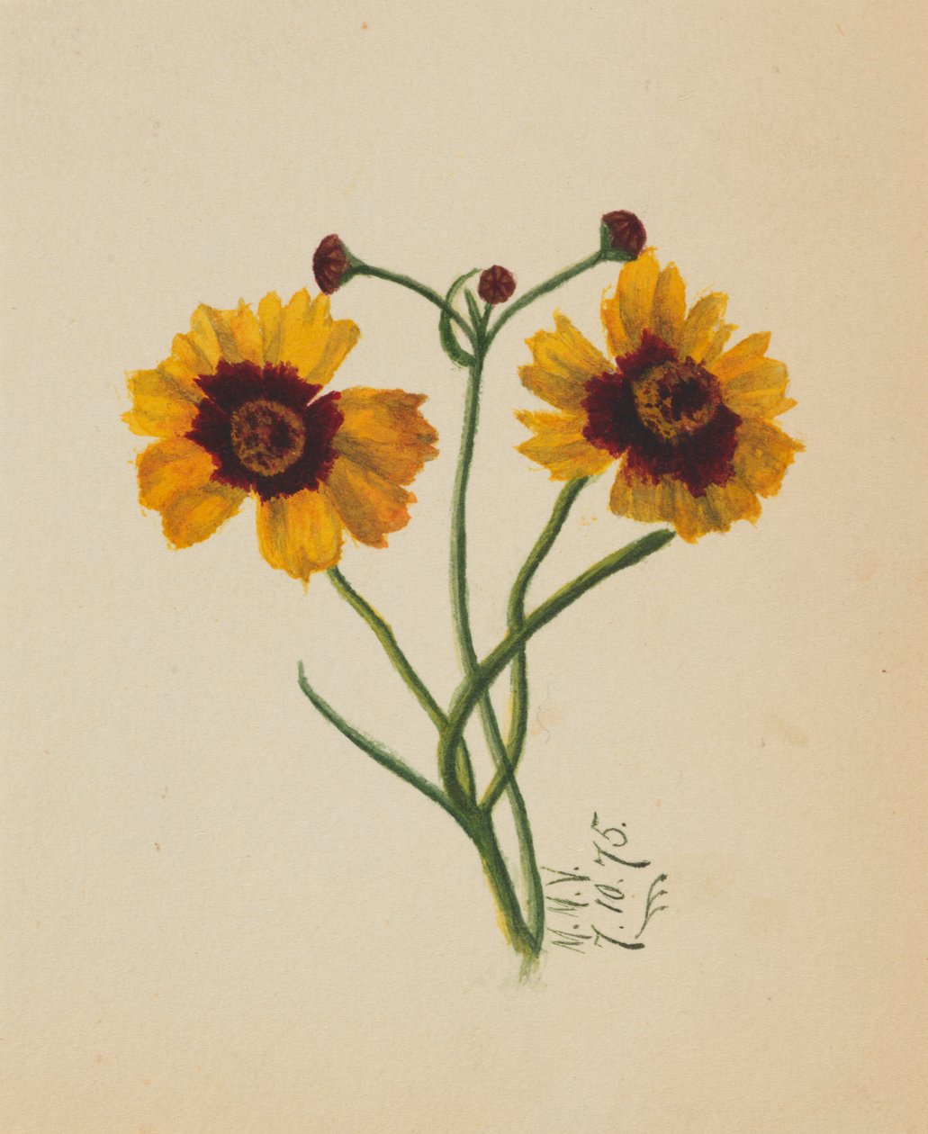 Bez tytułu, 1875. autorstwa Mary Vaux Walcott