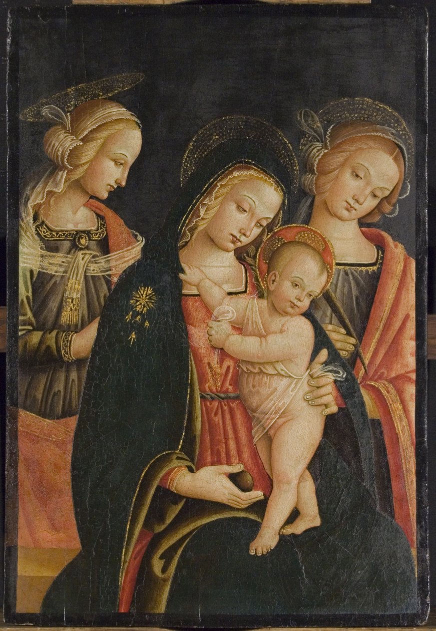 Madonna z Dzieciątkiem i dwiema świętymi, ok. 1500 autorstwa Master of the Cortona Tondo