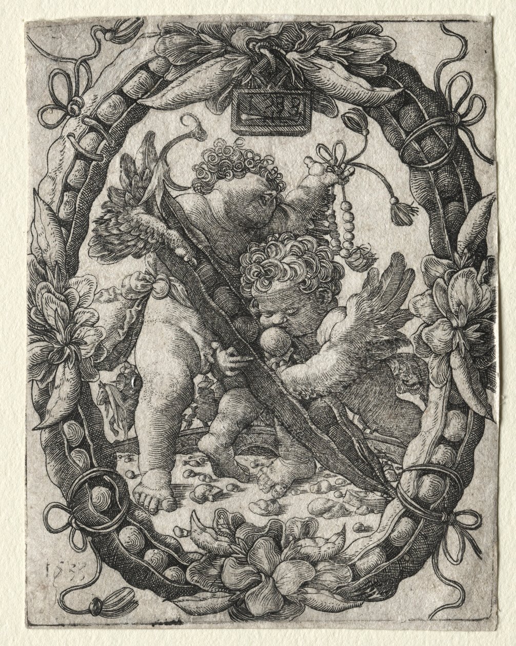 Strąk grochu, 1533. autorstwa Master H. L.
