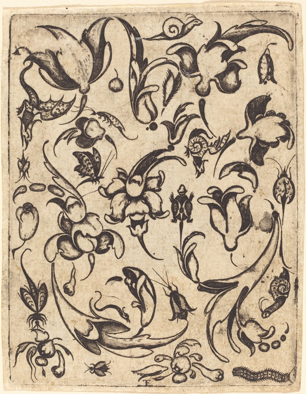 Ornament autorstwa Master T.F.
