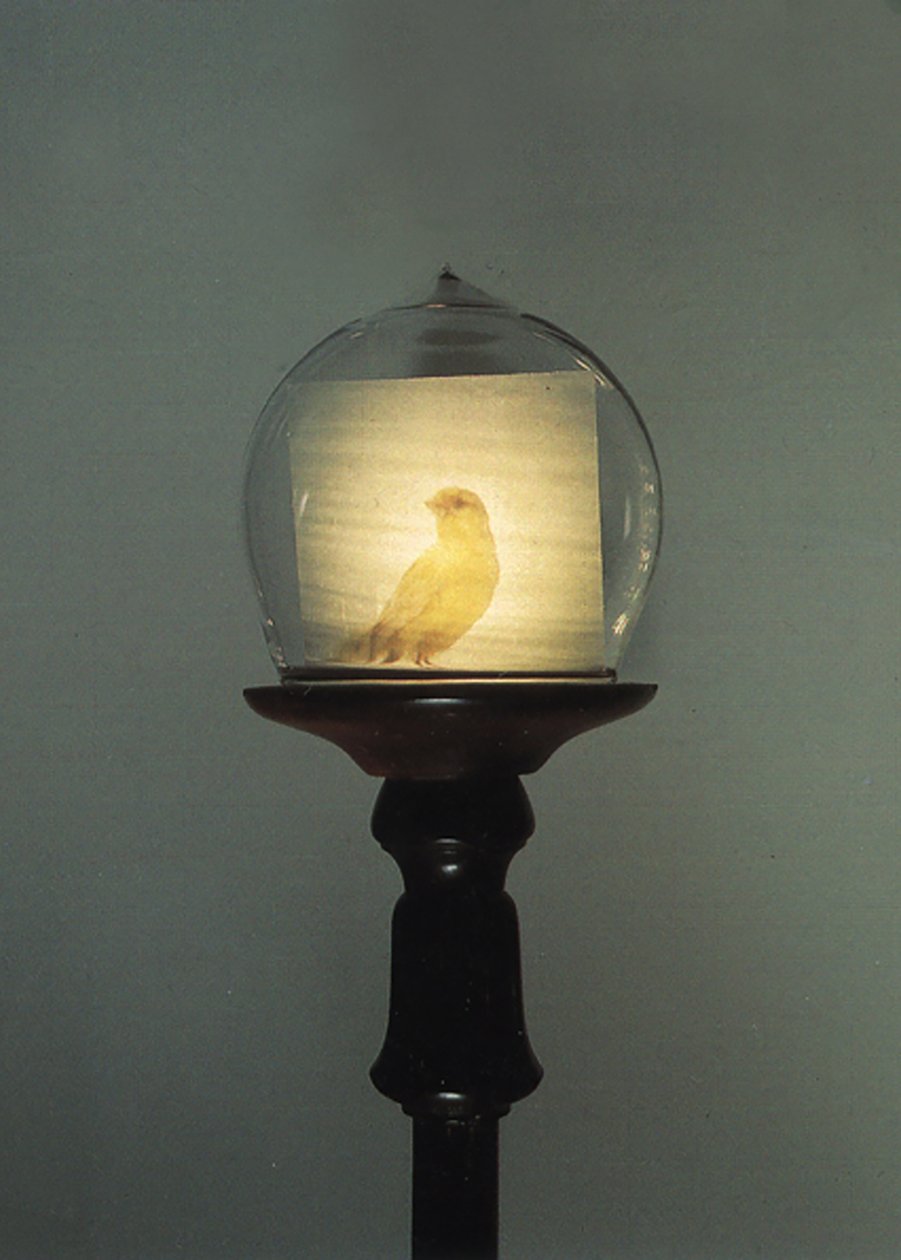 Antyk autorstwa Mat Collishaw