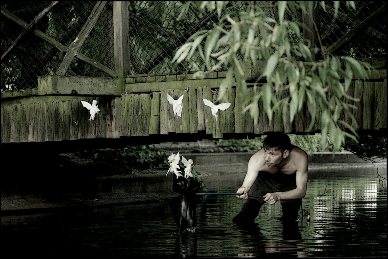 Łapanie wróżek 6 autorstwa Mat Collishaw