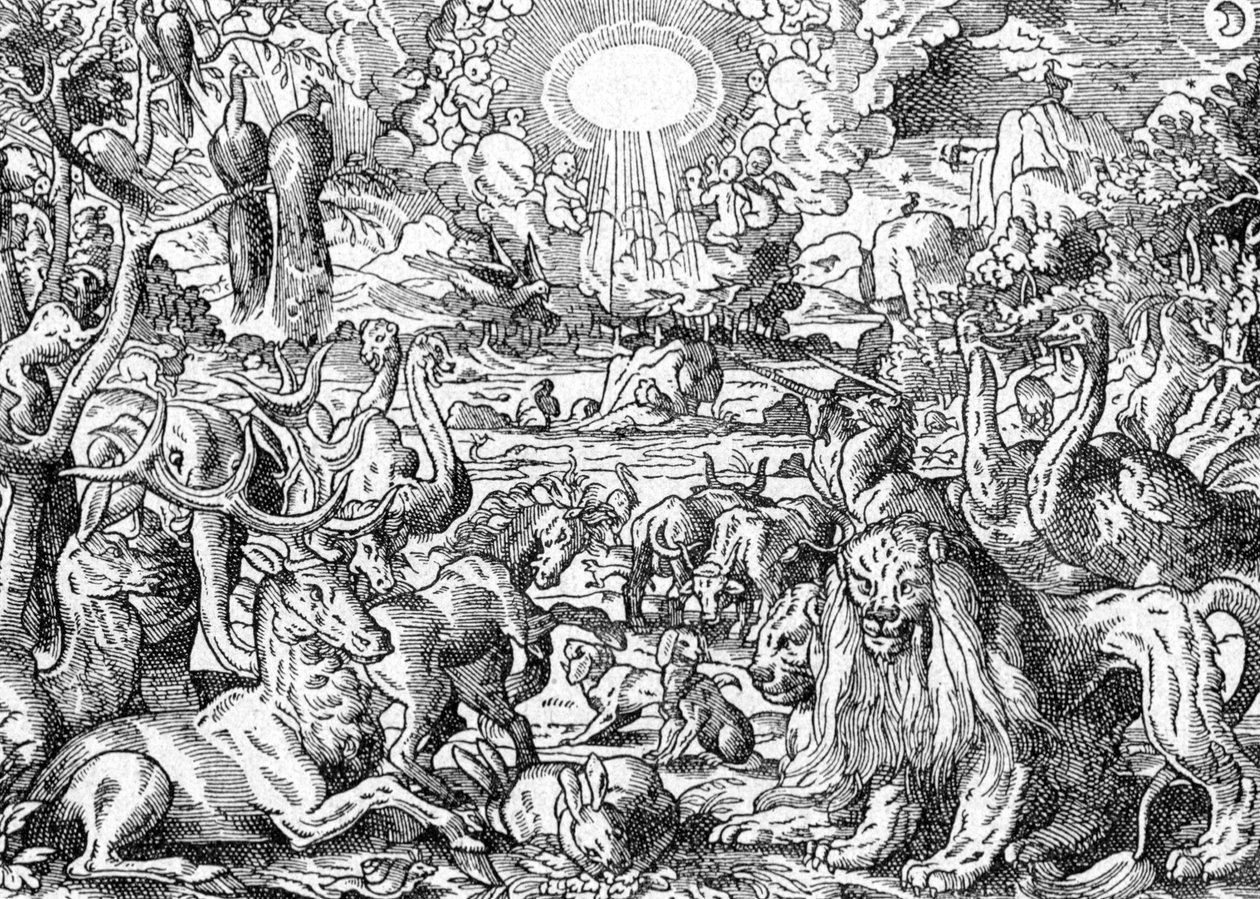 Raj autorstwa Matthaus the Elder Merian