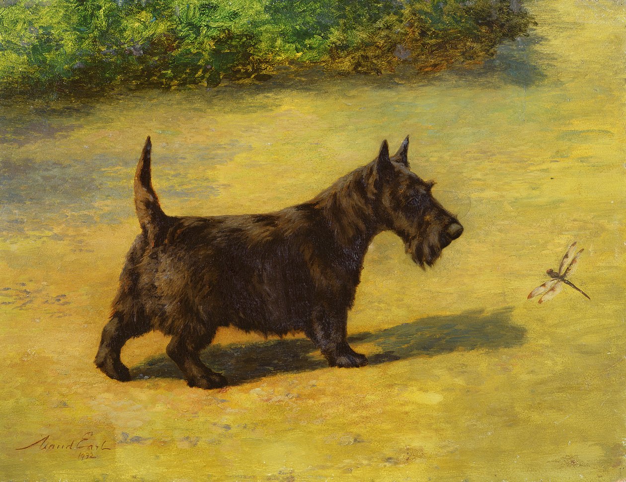 Dociekliwy wygląd autorstwa Maud Earl