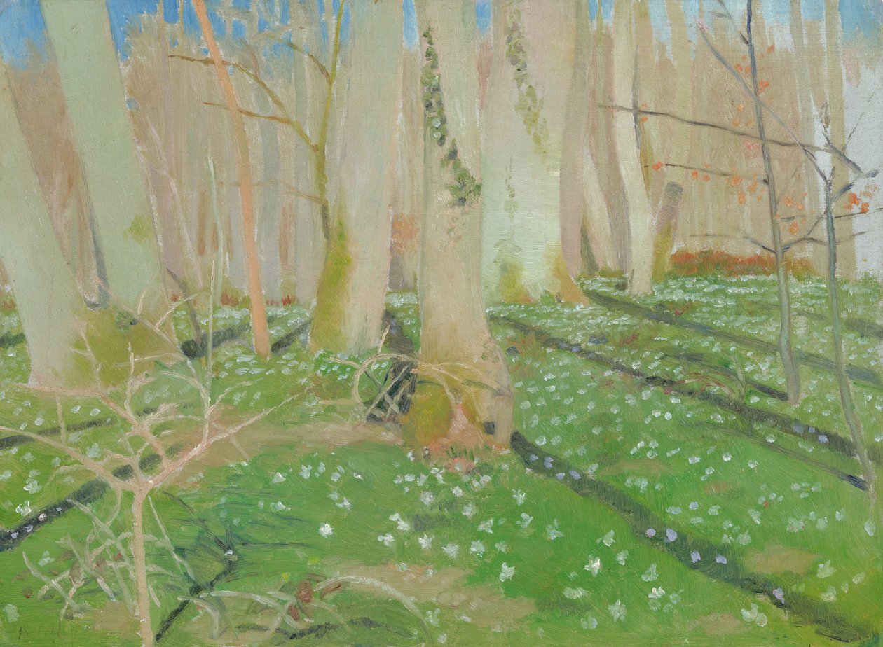 Las z anemoniami, 1889 (olej na kartonie) autorstwa Maurice Denis