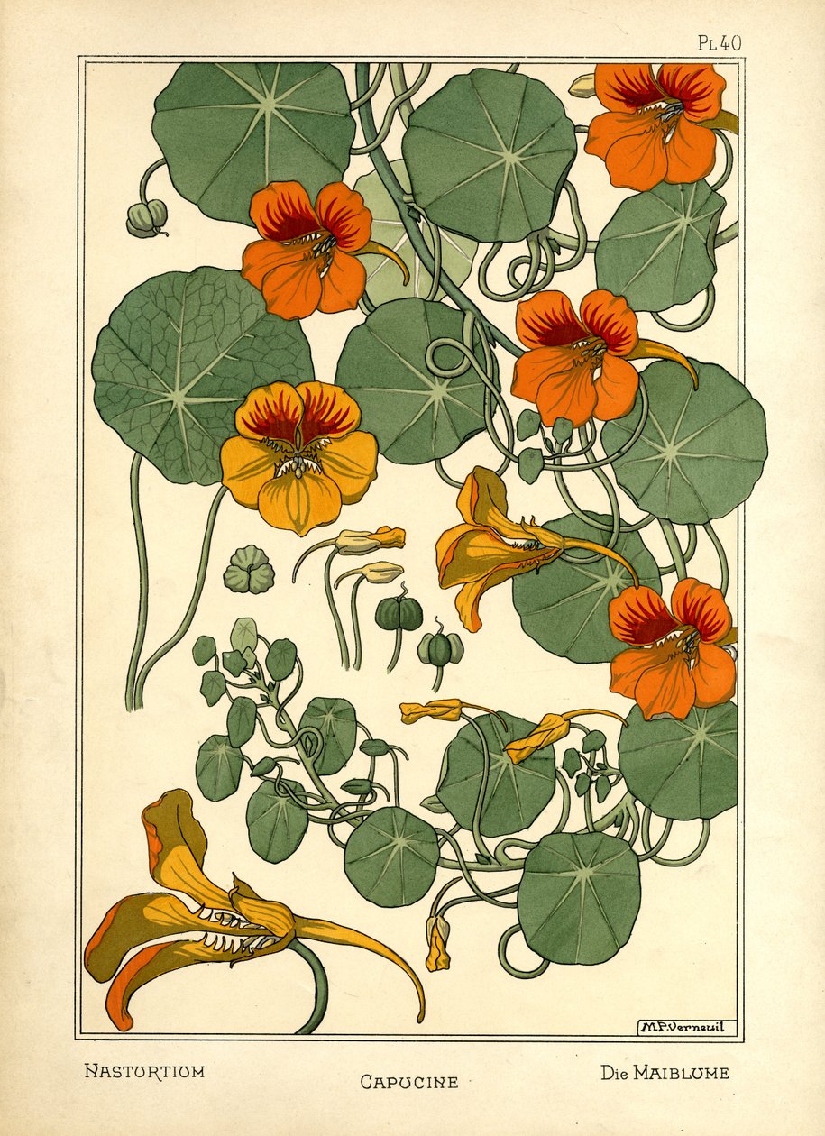 Nasturcja (kolor lito) autorstwa Maurice Pillard Verneuil