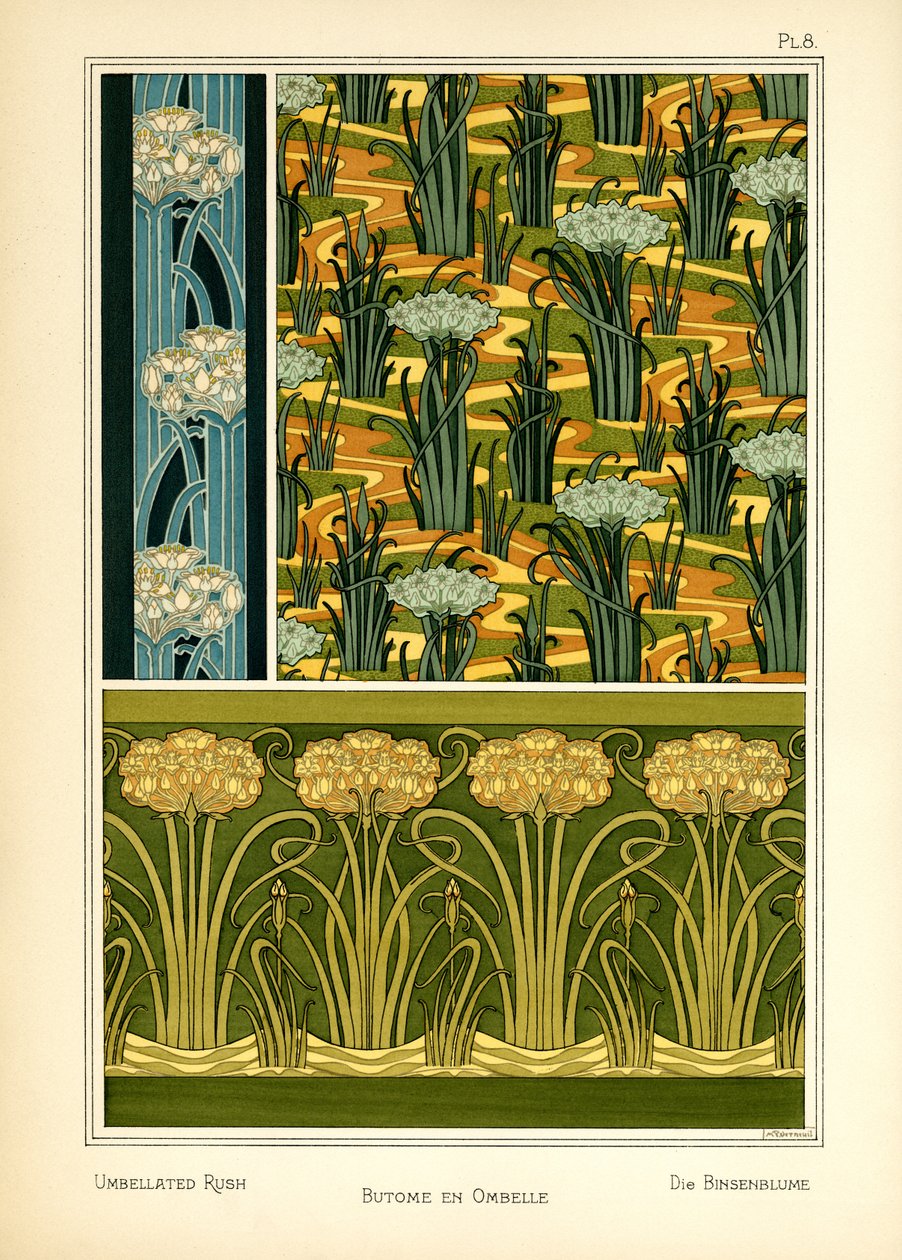 Umbbellated Rush (kolor lito) autorstwa Maurice Pillard Verneuil