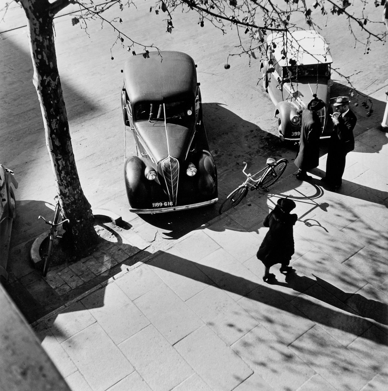 Adelaida autorstwa Max Dupain
