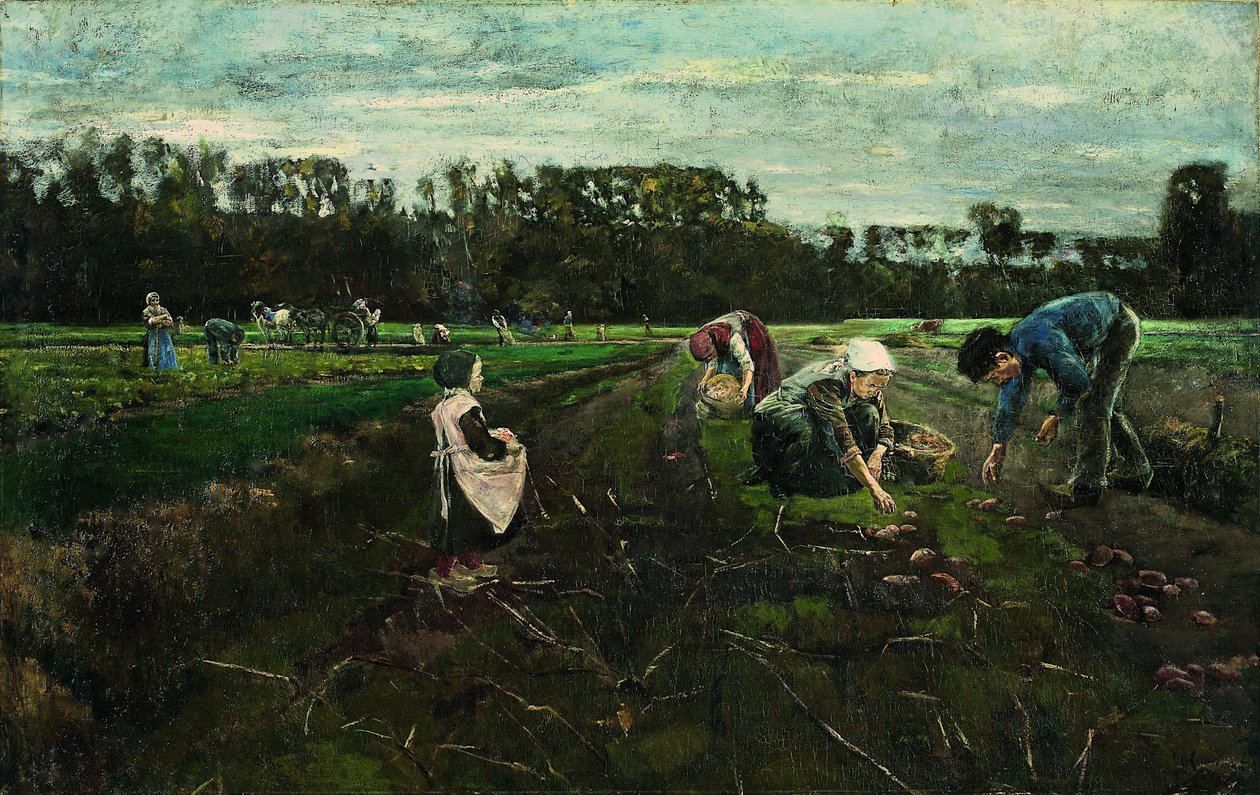 Zbiór ziemniaków autorstwa Max Liebermann