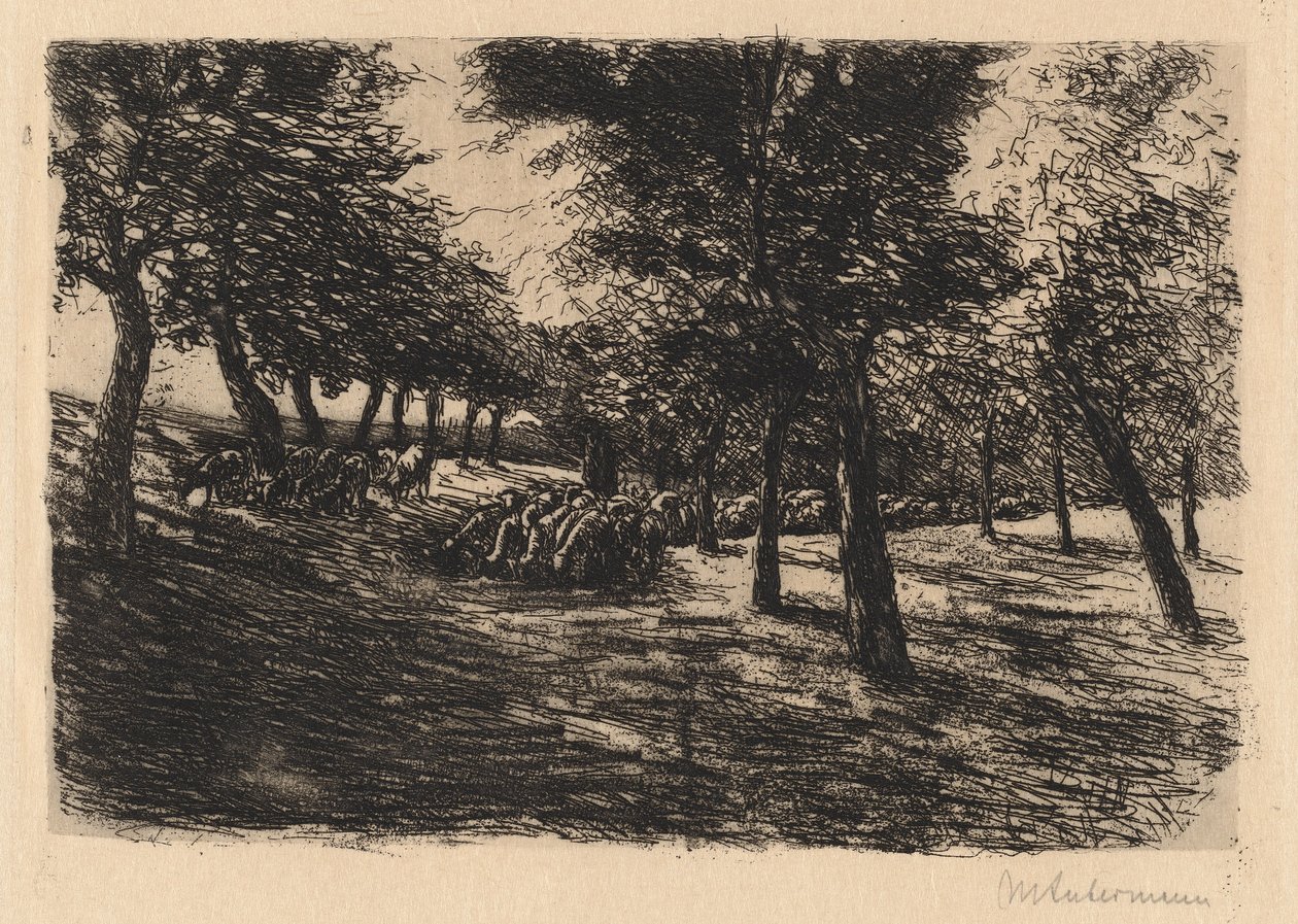 Stado owiec pod drzewami autorstwa Max Liebermann