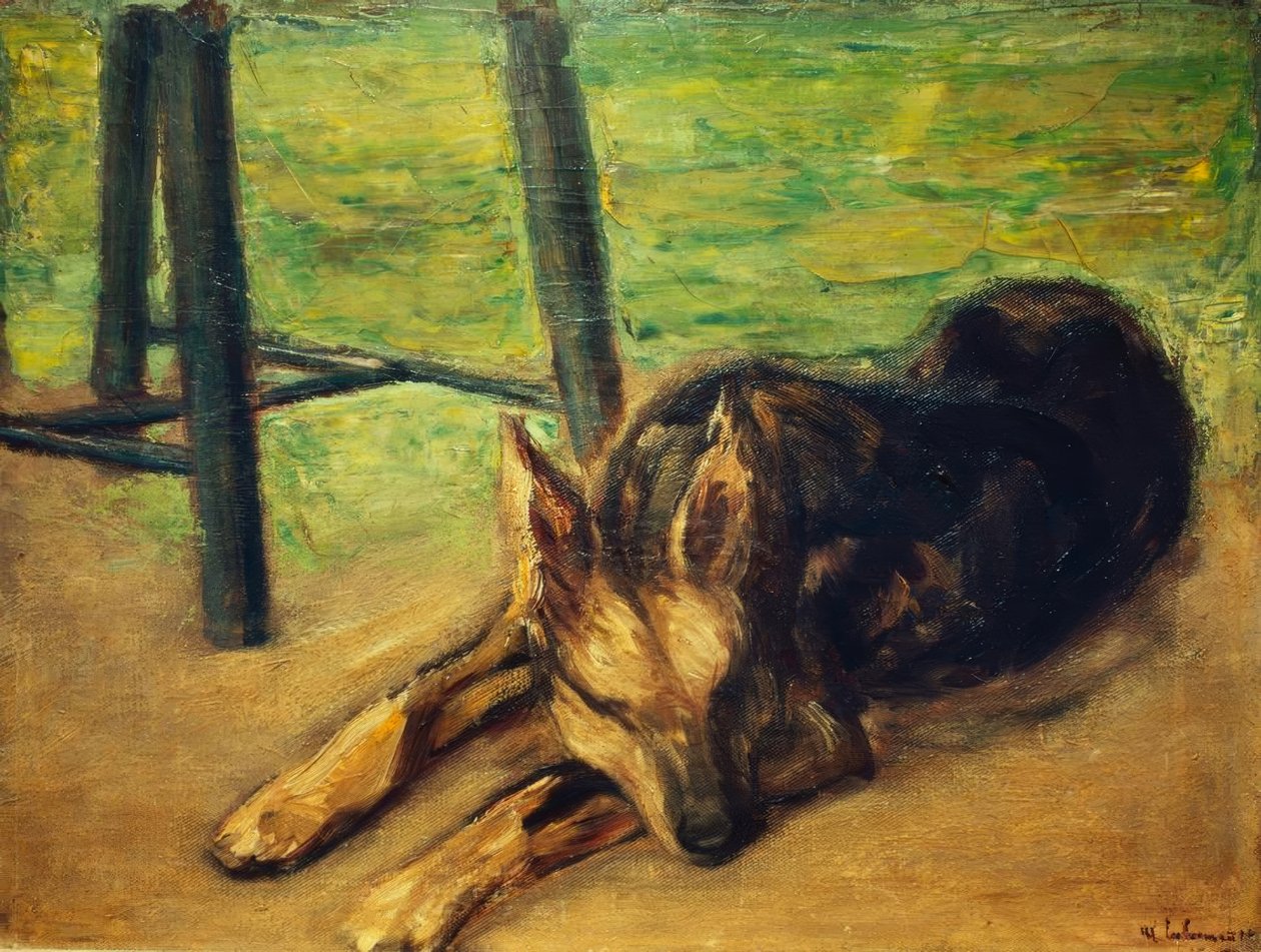 Śpiący owczarek niemiecki autorstwa Max Liebermann