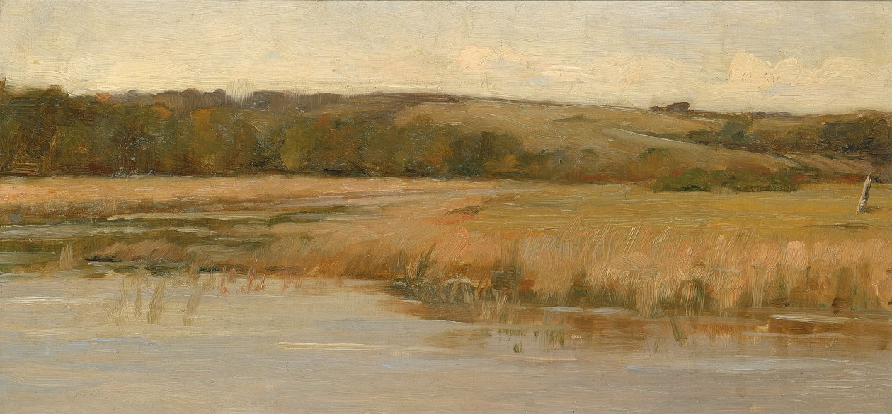 Hill and Marshland, koniec XIX i początek XX wieku. autorstwa Max Weyl