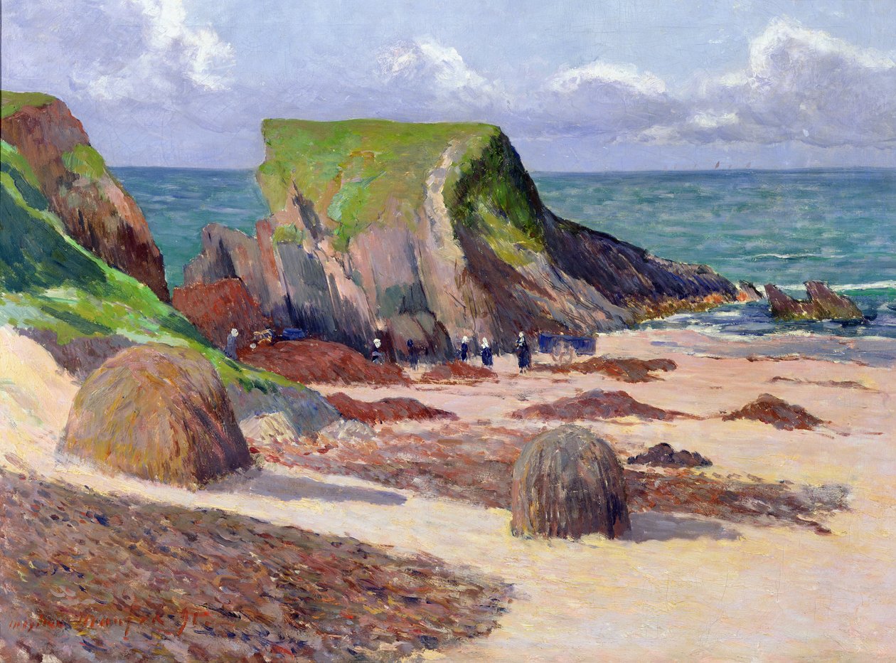 Zbiór wodorostów, 1891 autorstwa Maxime Emile Louis Maufra