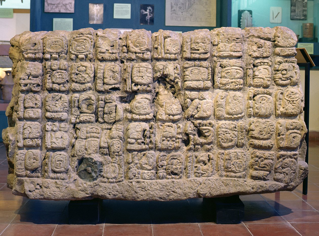Tył ołtarza U z Copan, późny okres klasyczny (795 r. n.e.) autorstwa Mayan