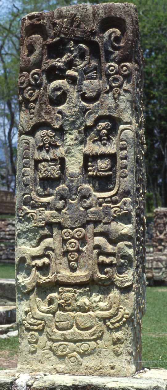 Tył steli B, Copan, Późny Okres Klasyczny, 731 n.e. autorstwa Mayan