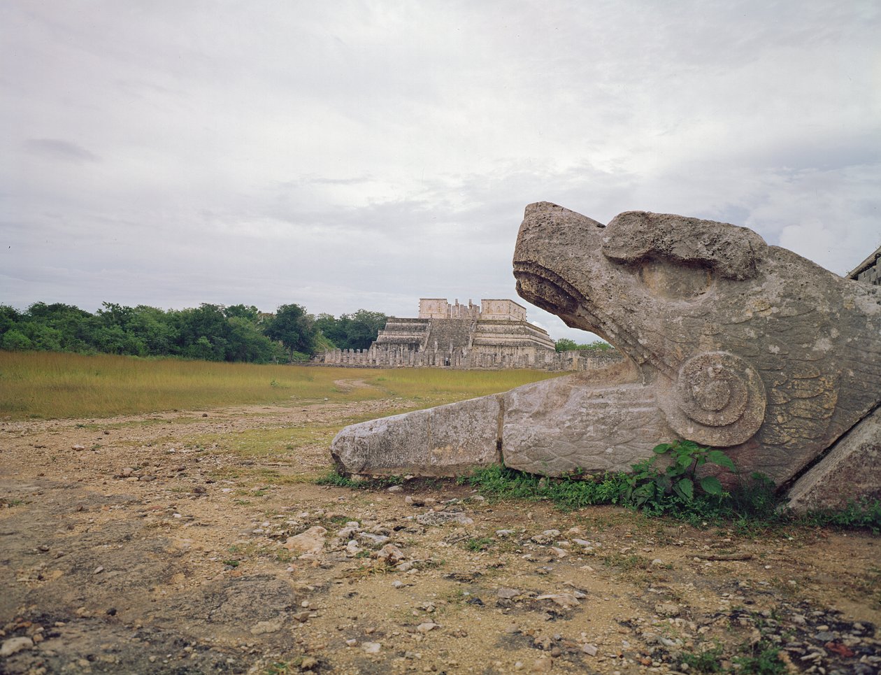 Kolumna Świątynia Wojowników i Węża autorstwa Mayan